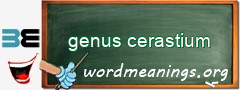 WordMeaning blackboard for genus cerastium